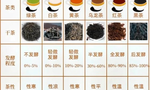 脾氨肽口服溶液主要治疗什么病-脾氨肽有什么副作用网 :分享脾氨肽最佳服用方法-脾氨肽口服溶液主要治疗什么病知识